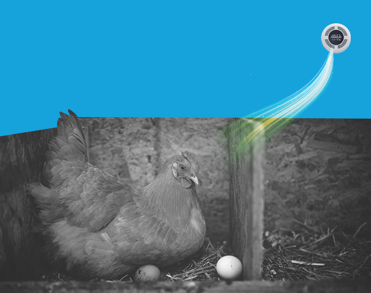 Ventilation in the agricultural sector