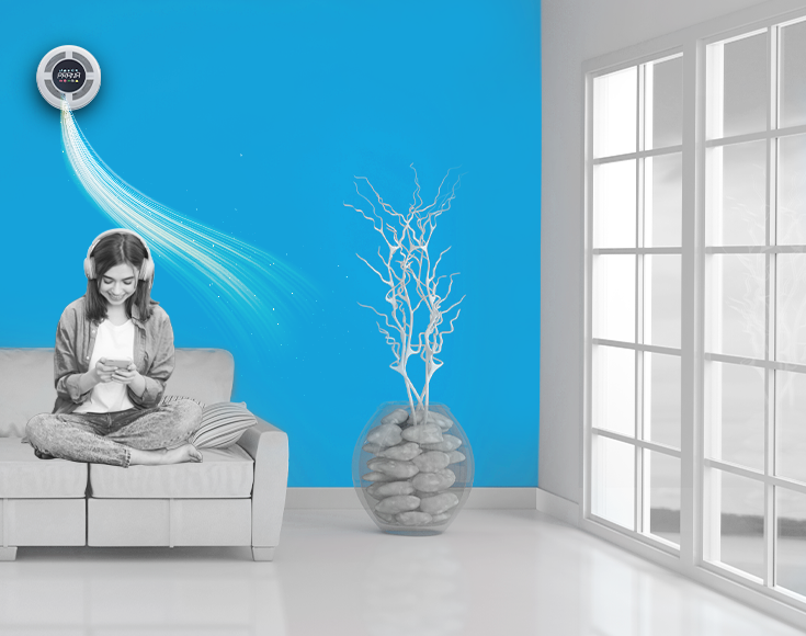 Ventilation in the appaetment